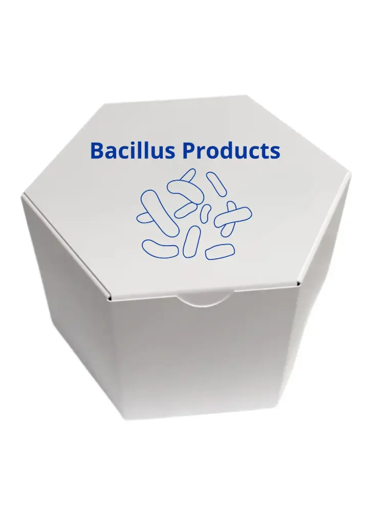 Bacillus Anthracis (AP)