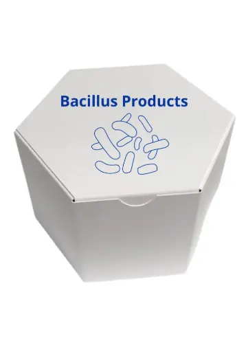 [BAC-500g-16] Lactobacillus MRS Broth