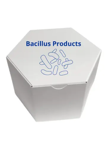 [BAC-2 Kg-81] LACTOBACILLUS MRS BROTH