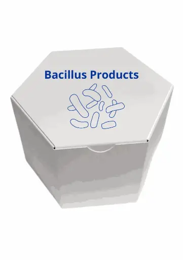 [BAC-1000 Kg-253] Bacillus firmus