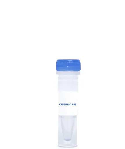 [CAS-232] PC-1 CRISPR/Cas9 KO Plasmid (m)